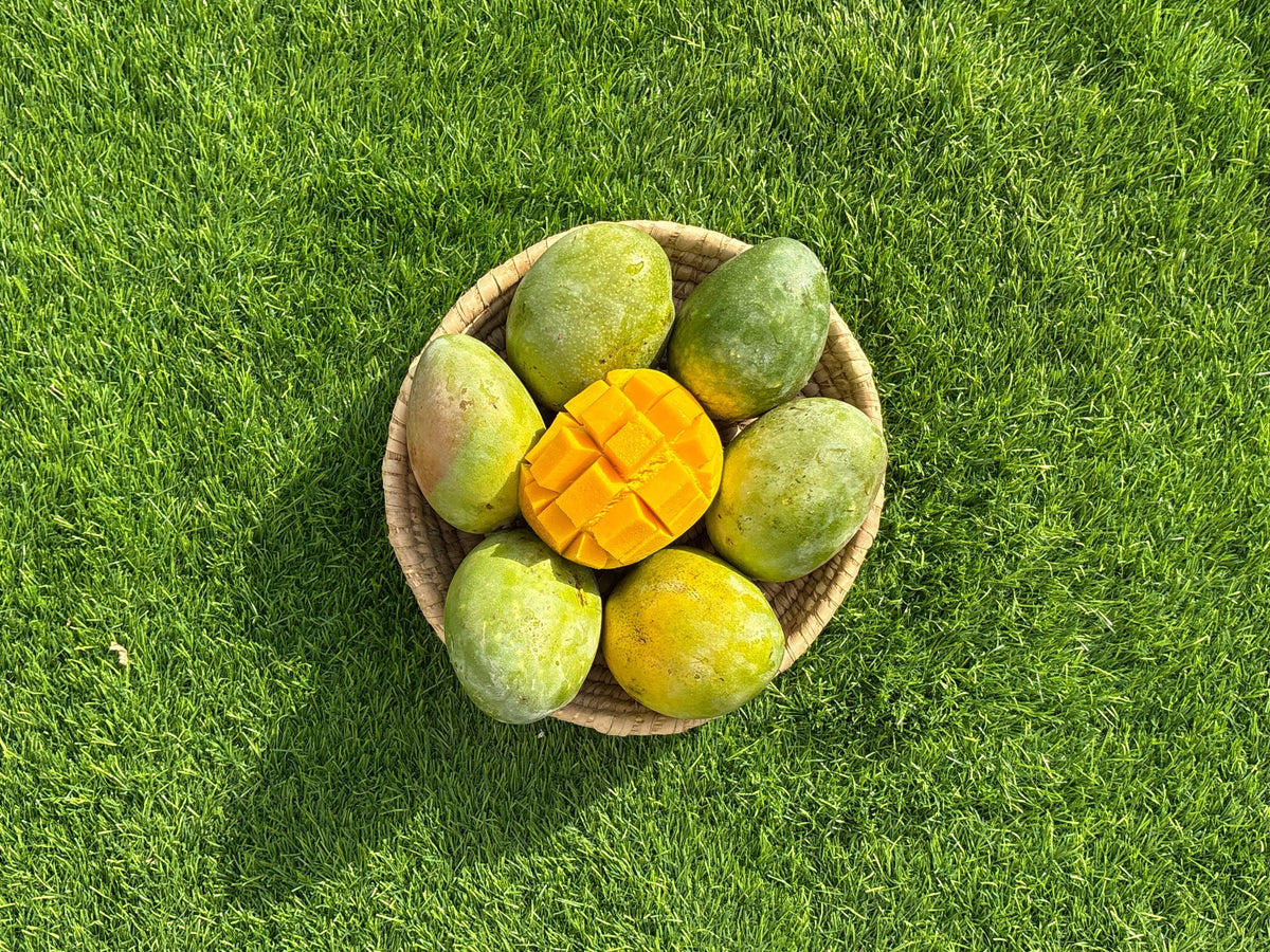 Mango Musk