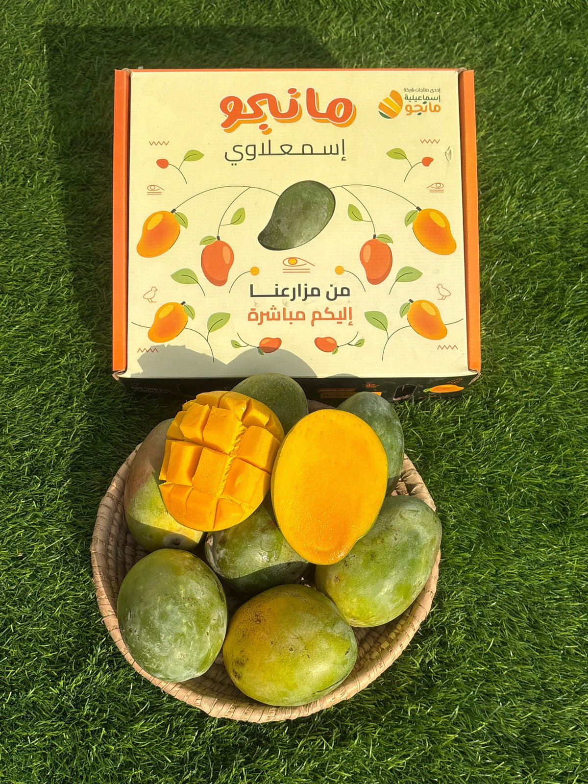 Mango Musk