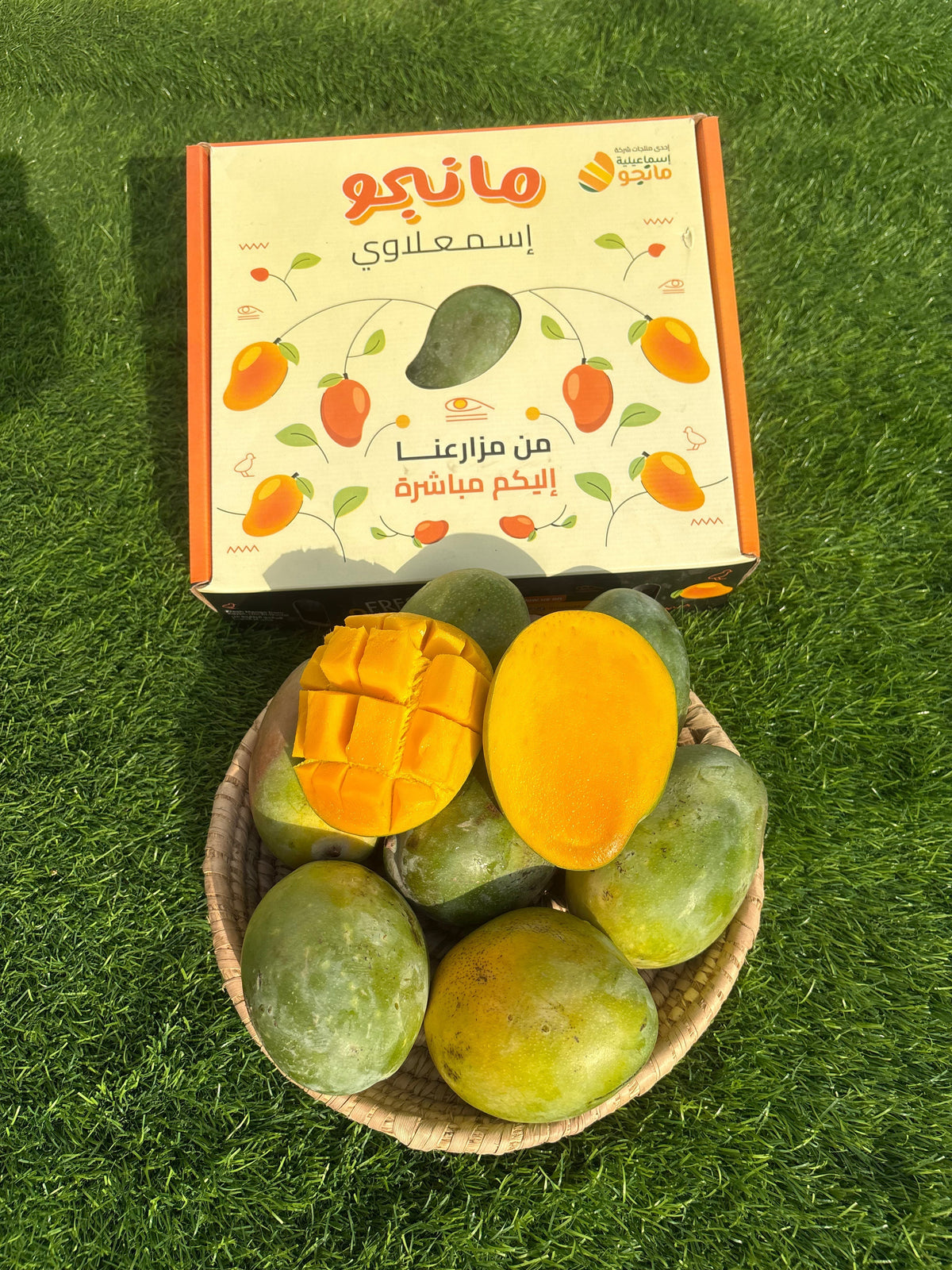 Mango Musk