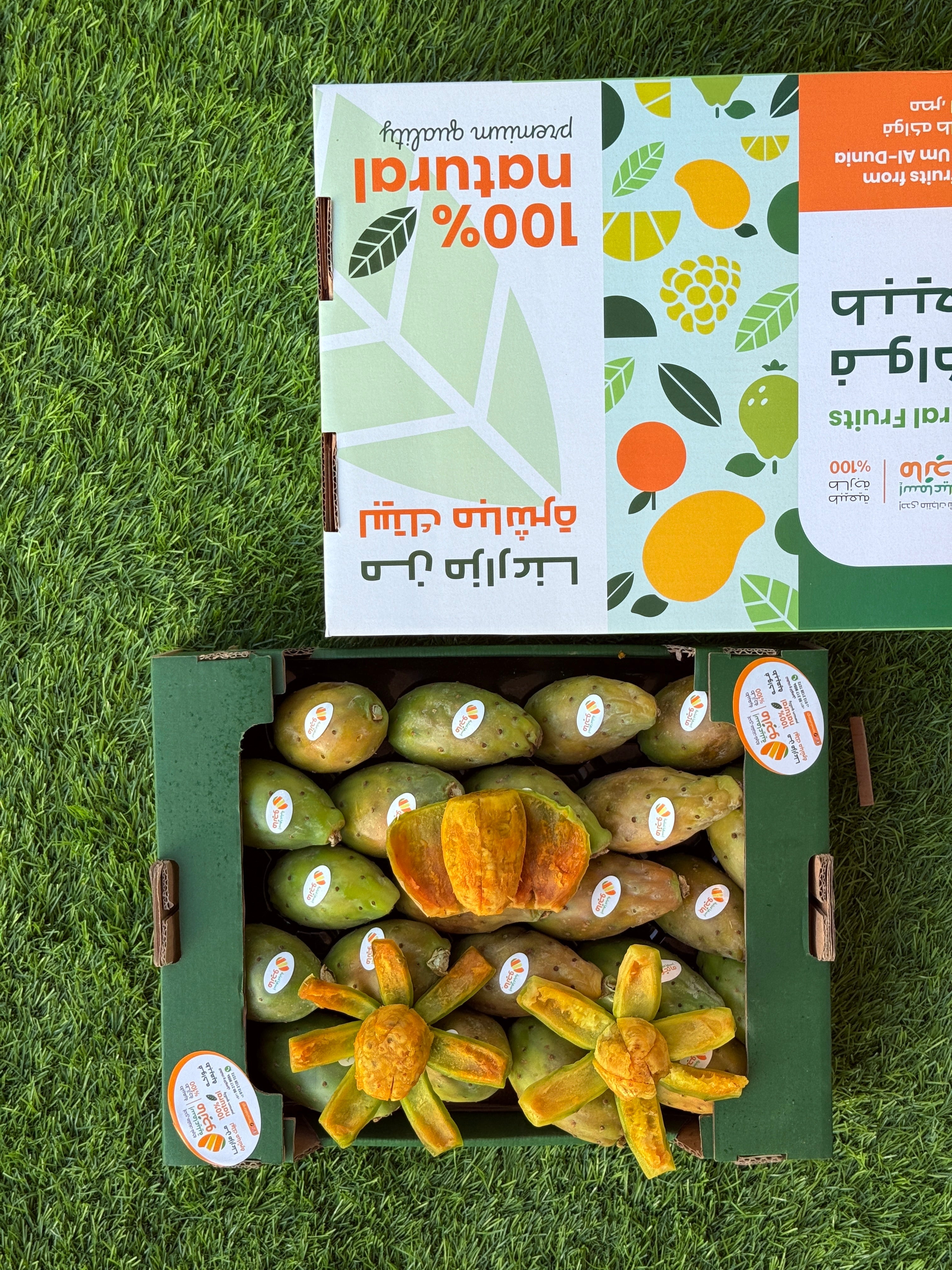 Fig Shouki