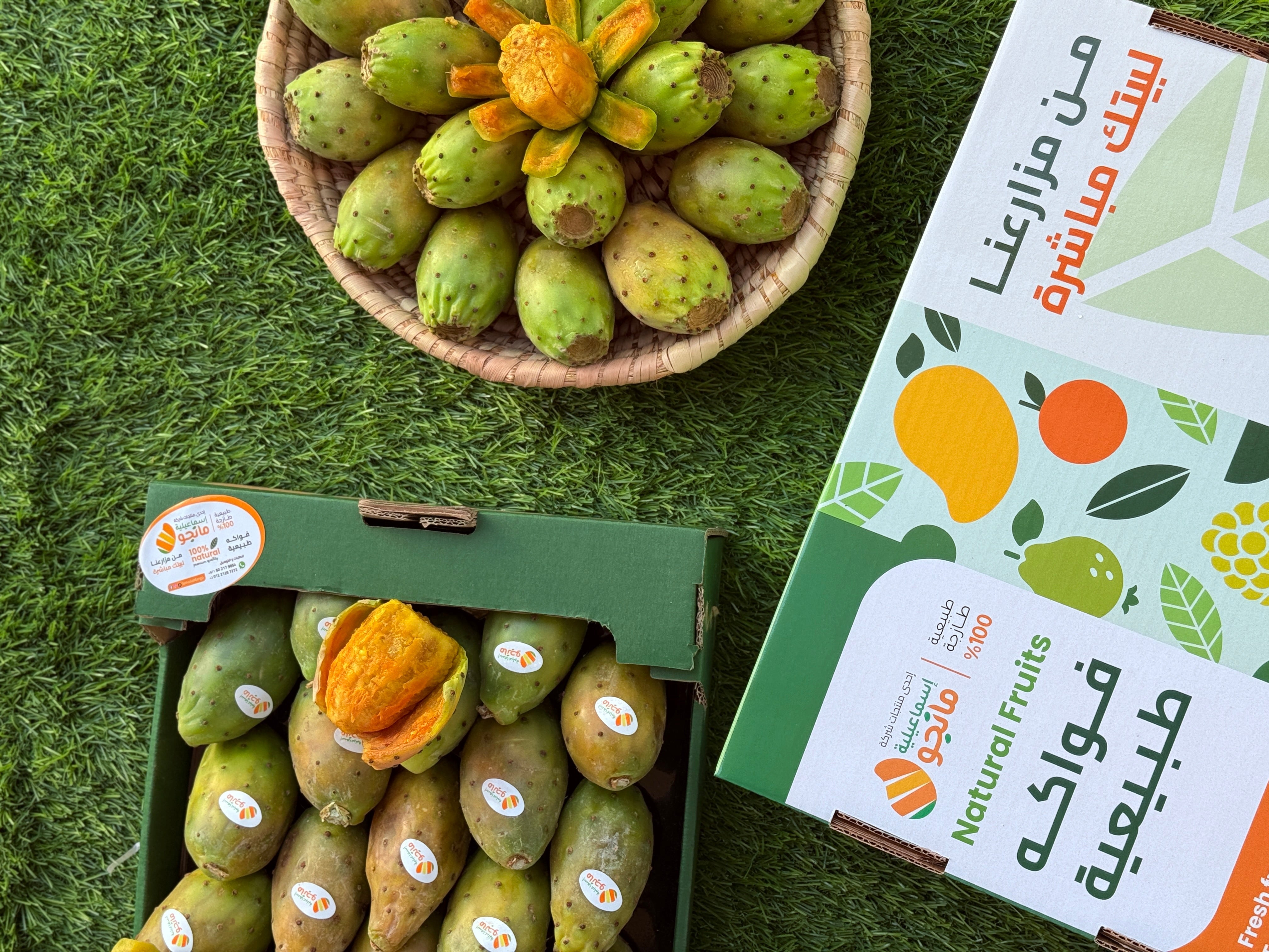 Fig Shouki
