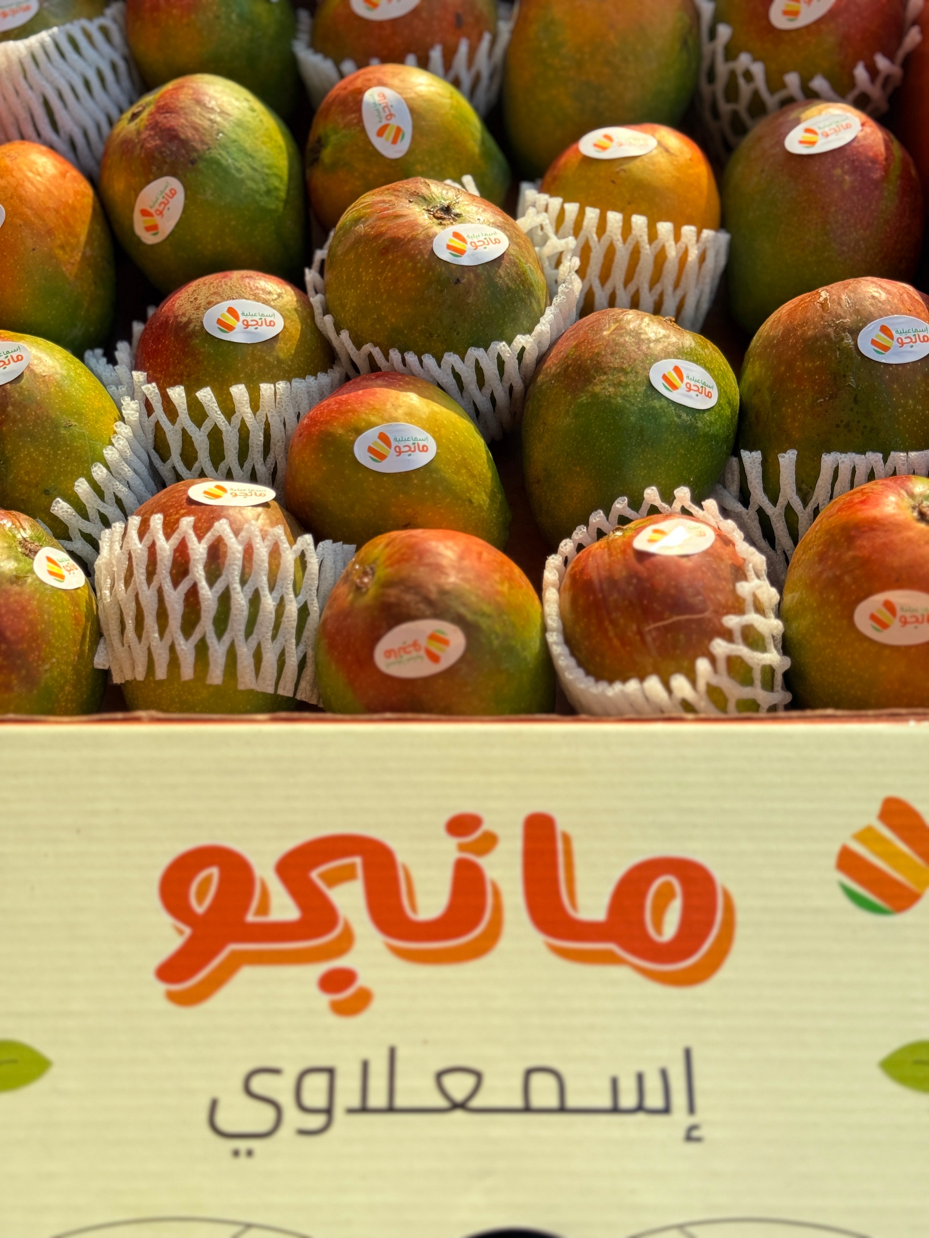 Mango Fons