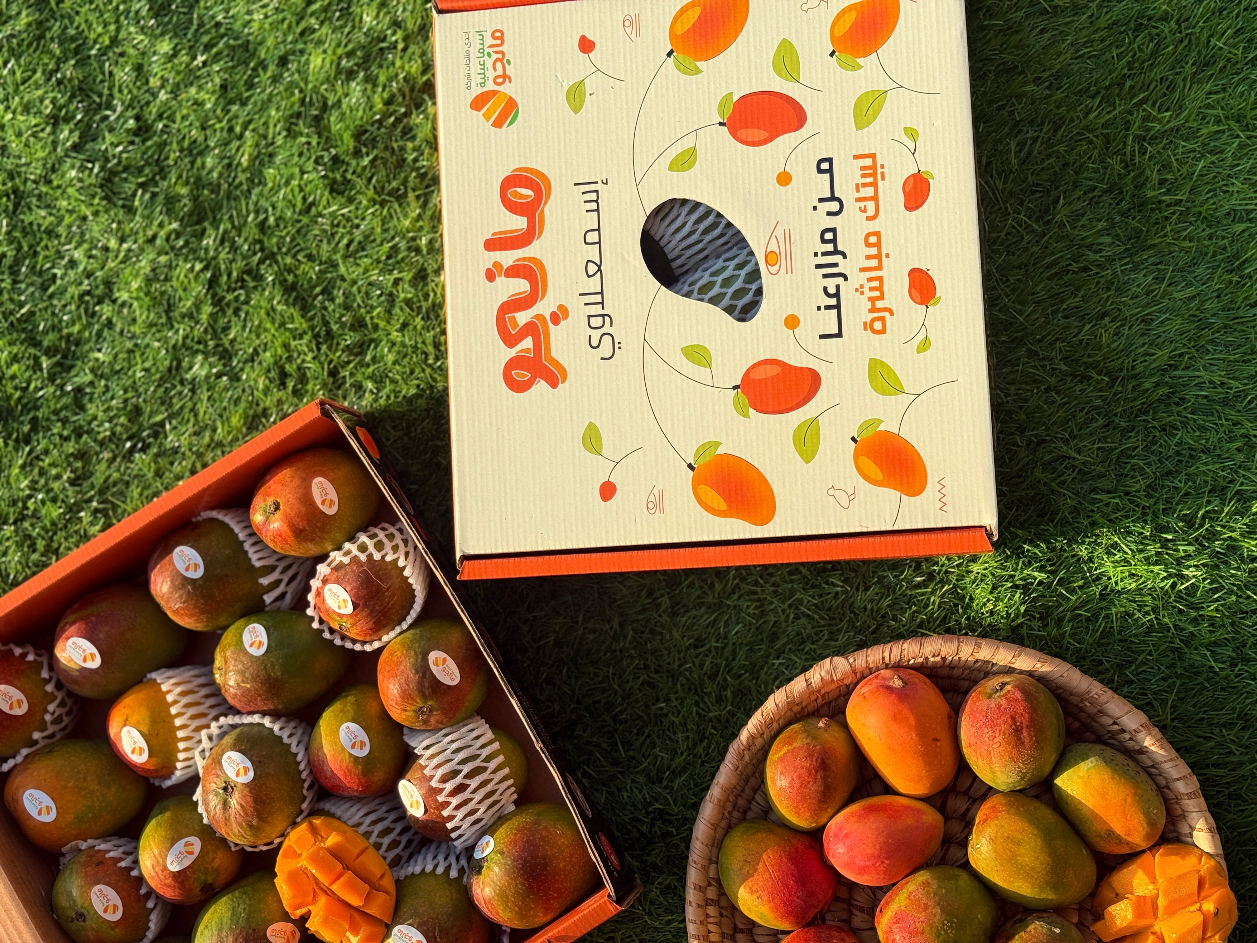 Mango Fons