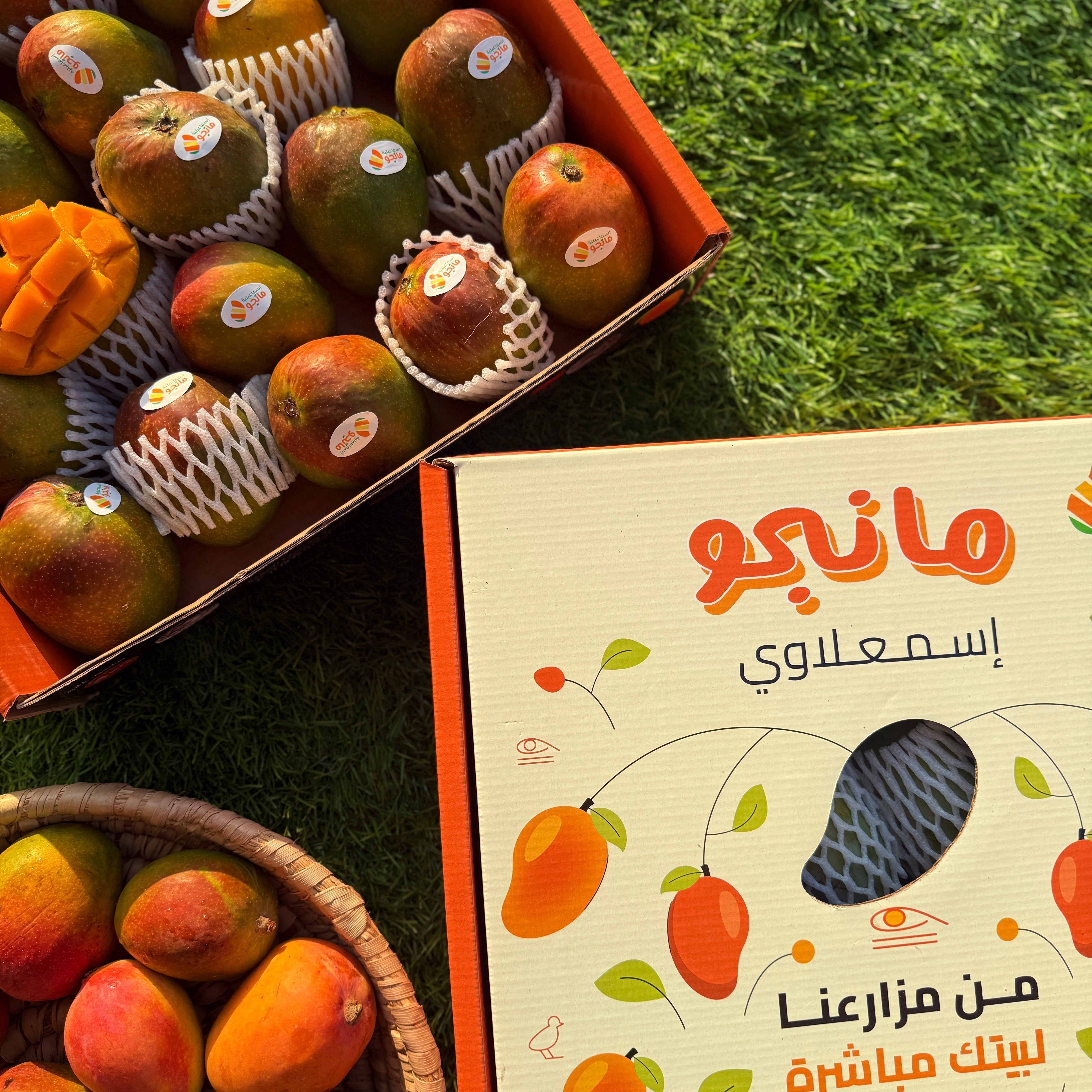 Mango Fons