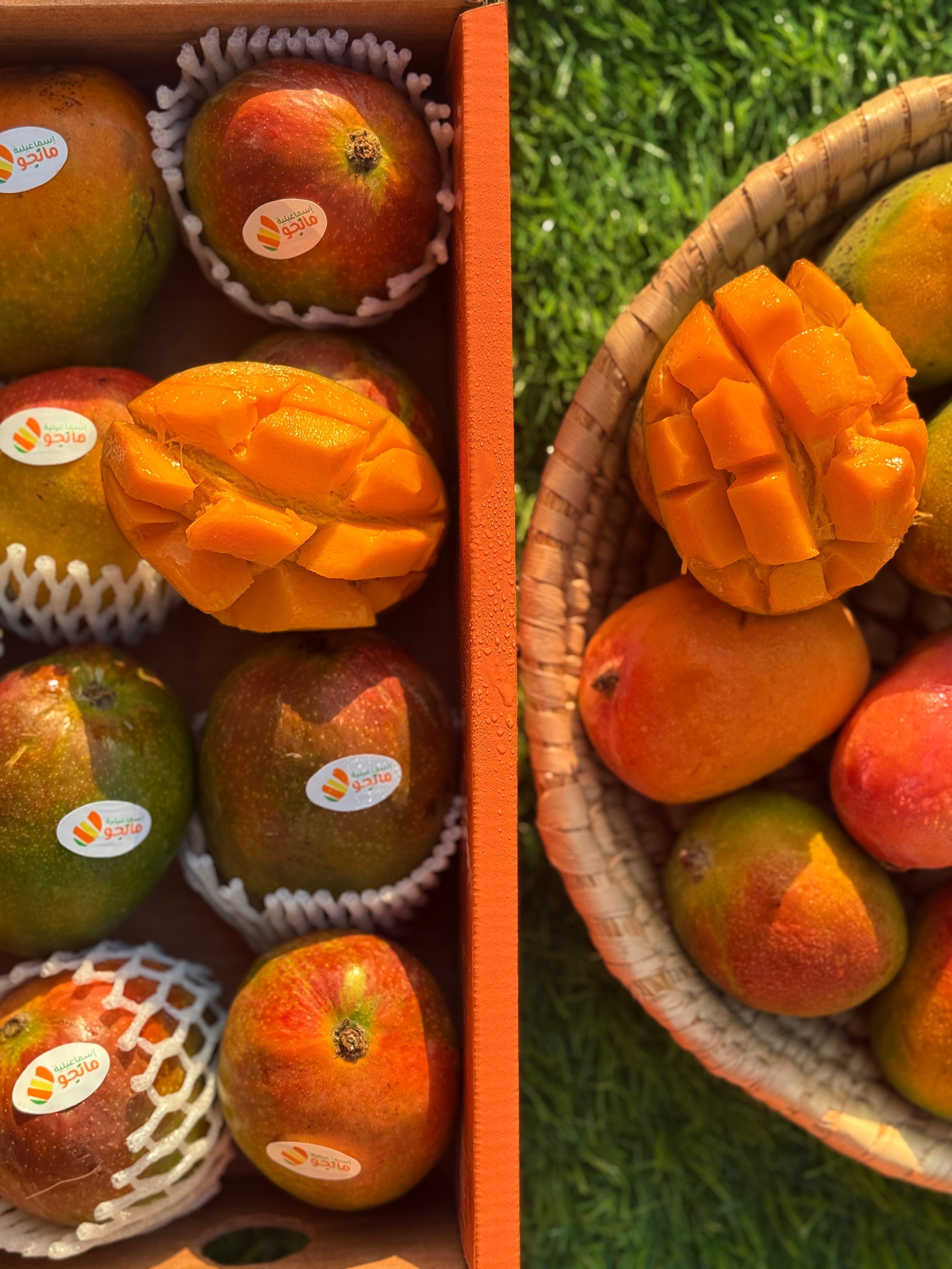 Mango Fons