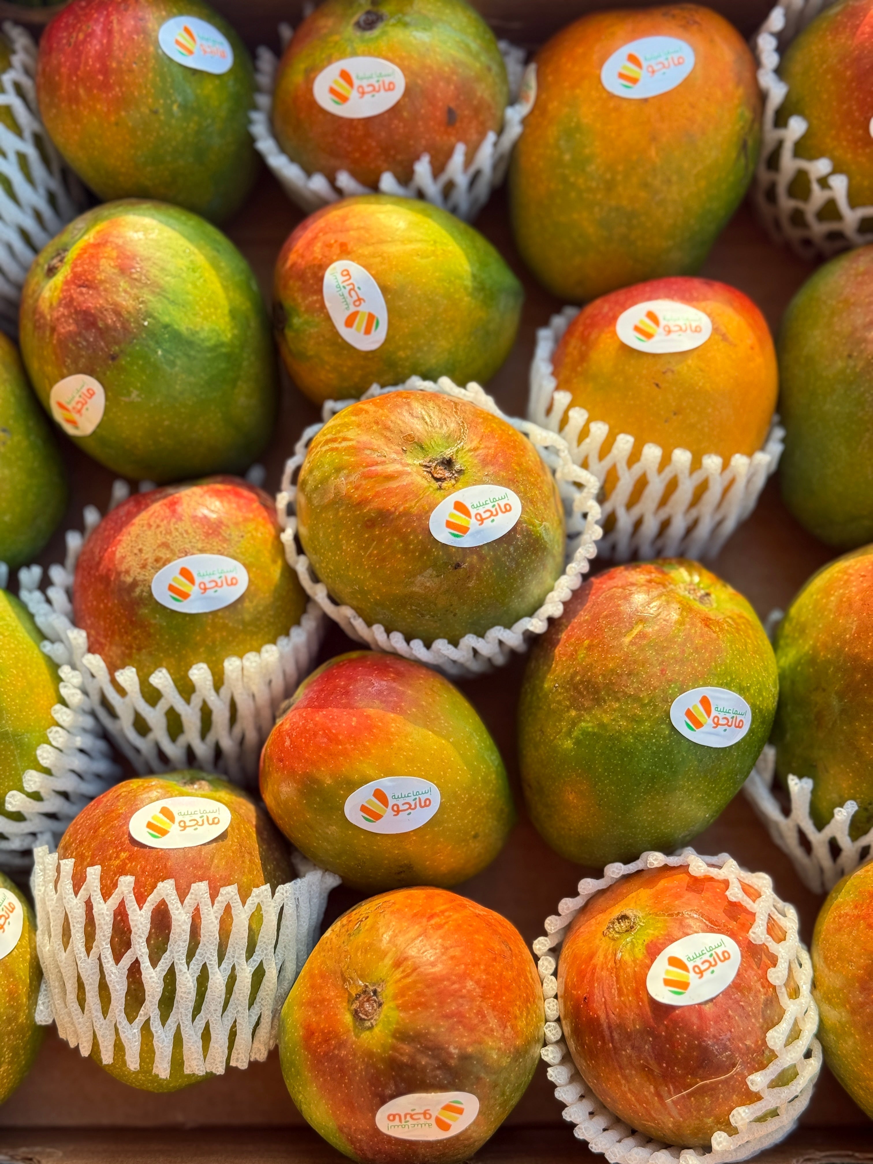 Mango Fons