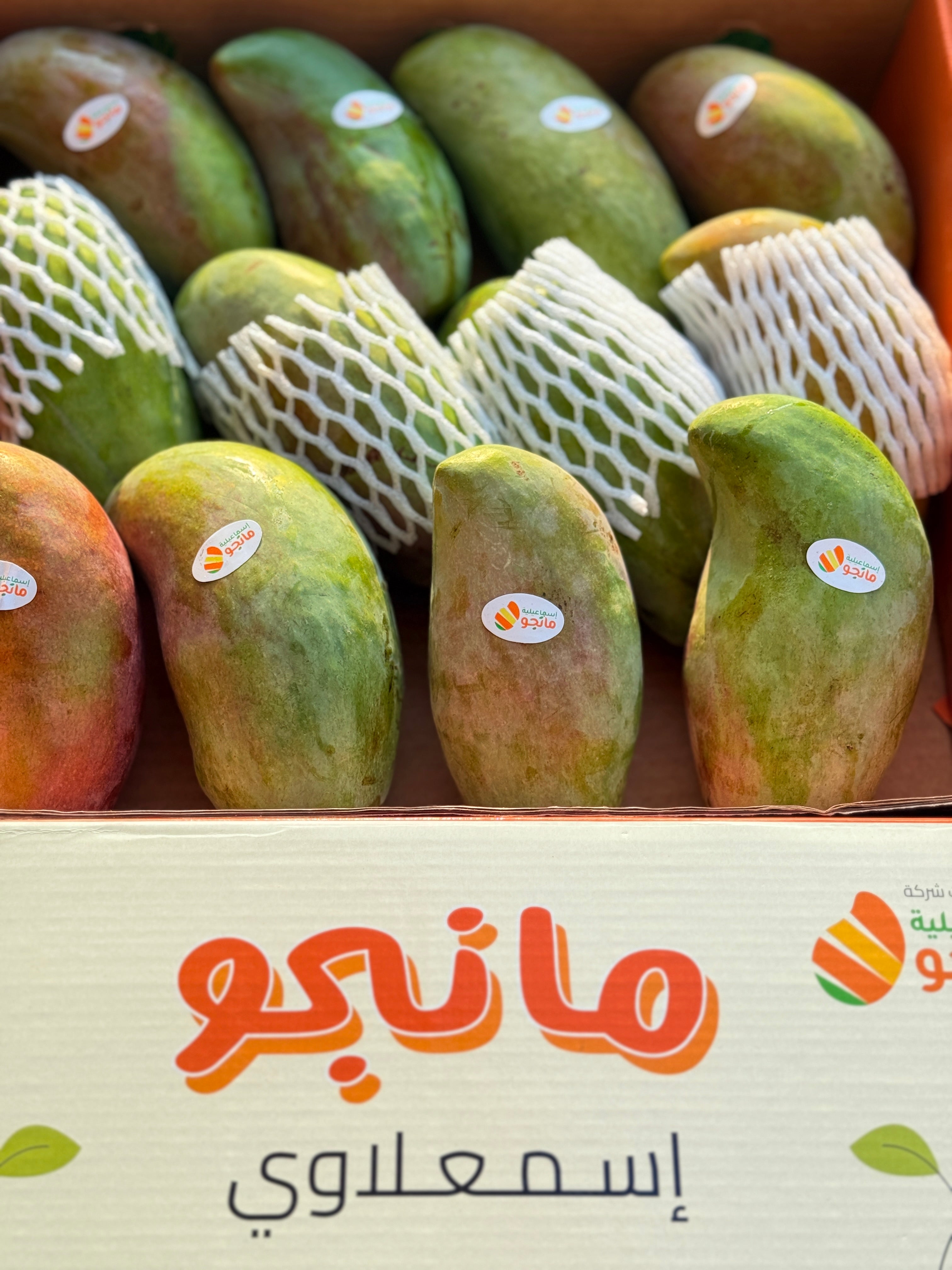 Mango Fons