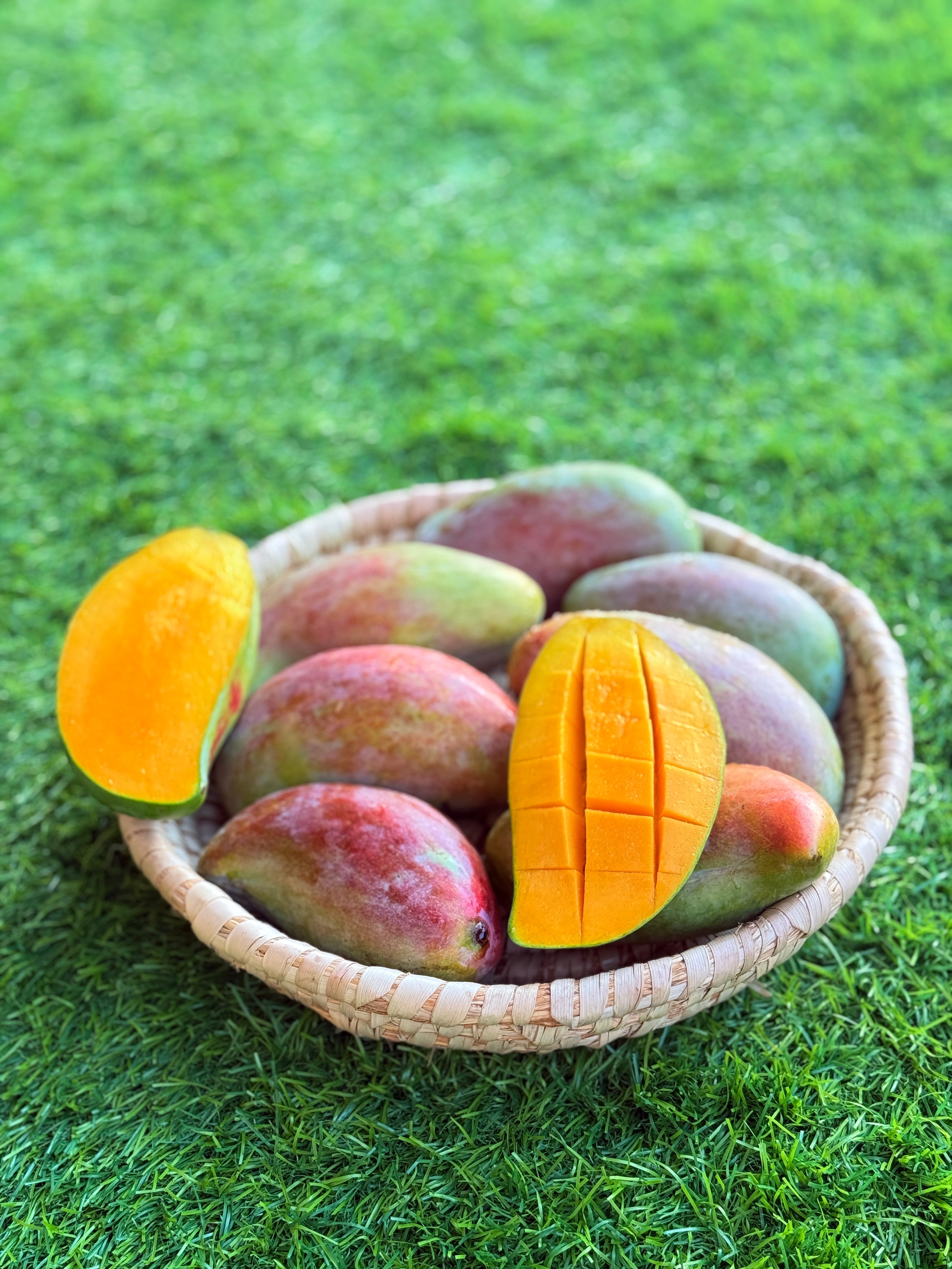 Mango Sediqa