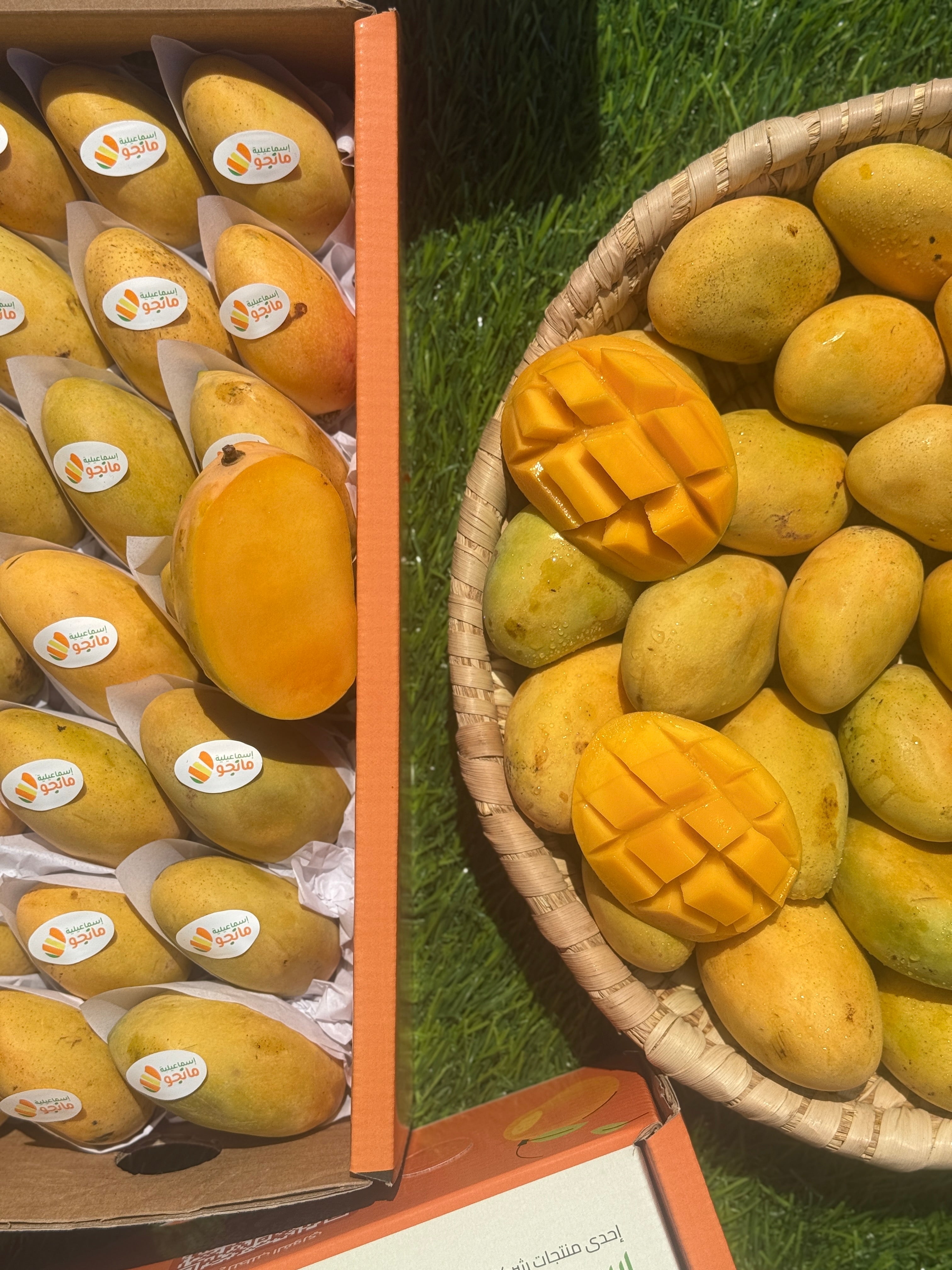 Mango Fas