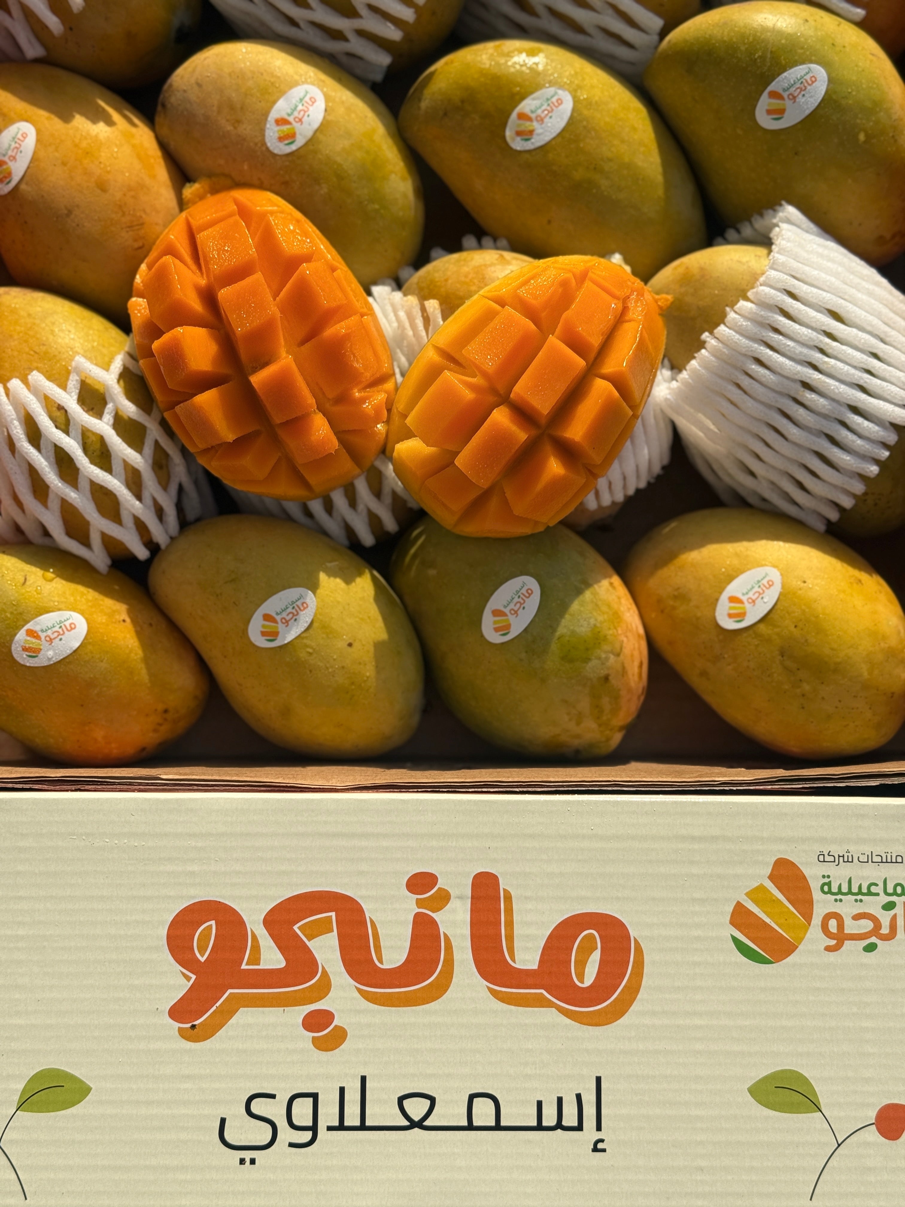 Mango Owais