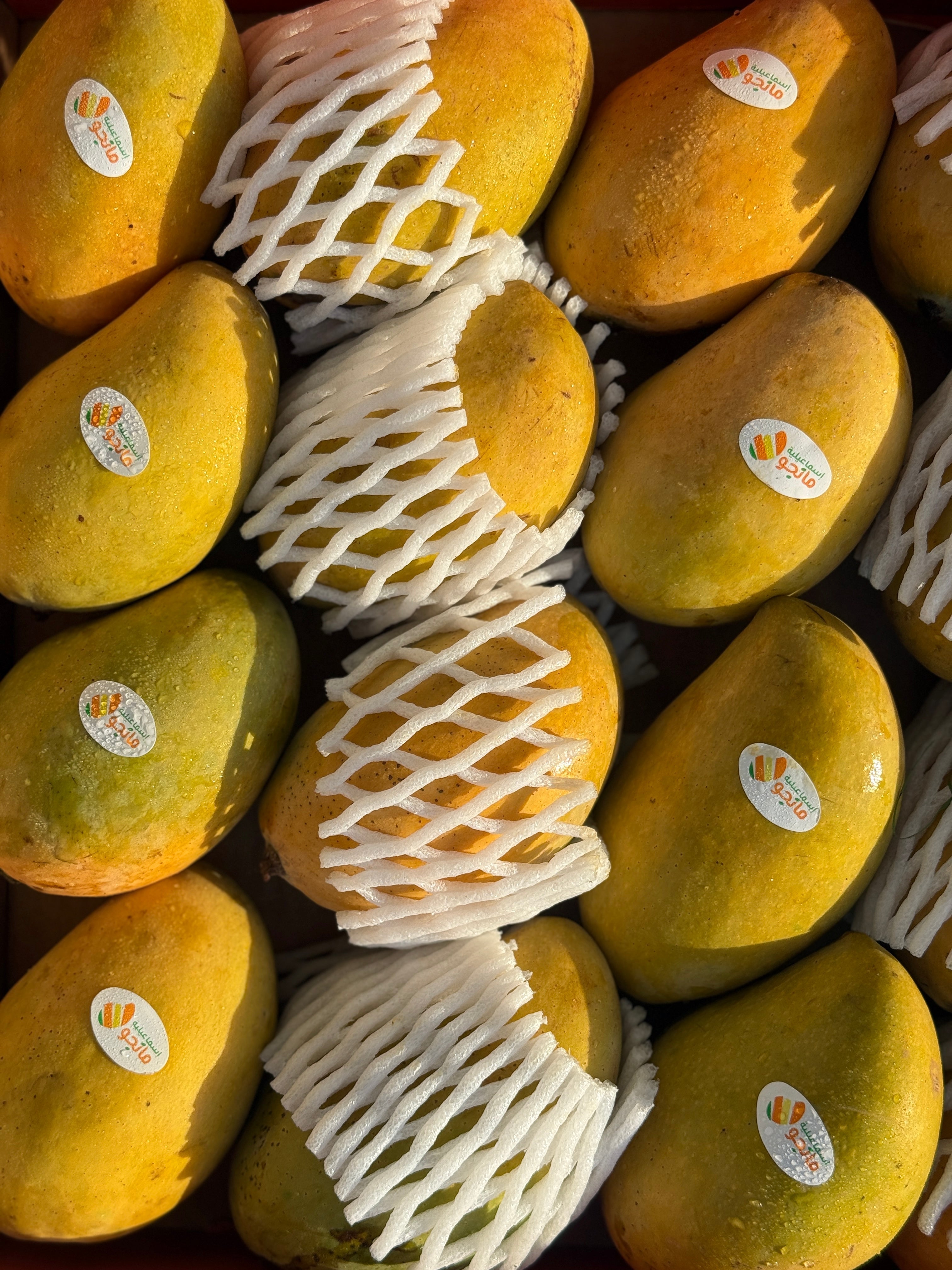 Mango Owais