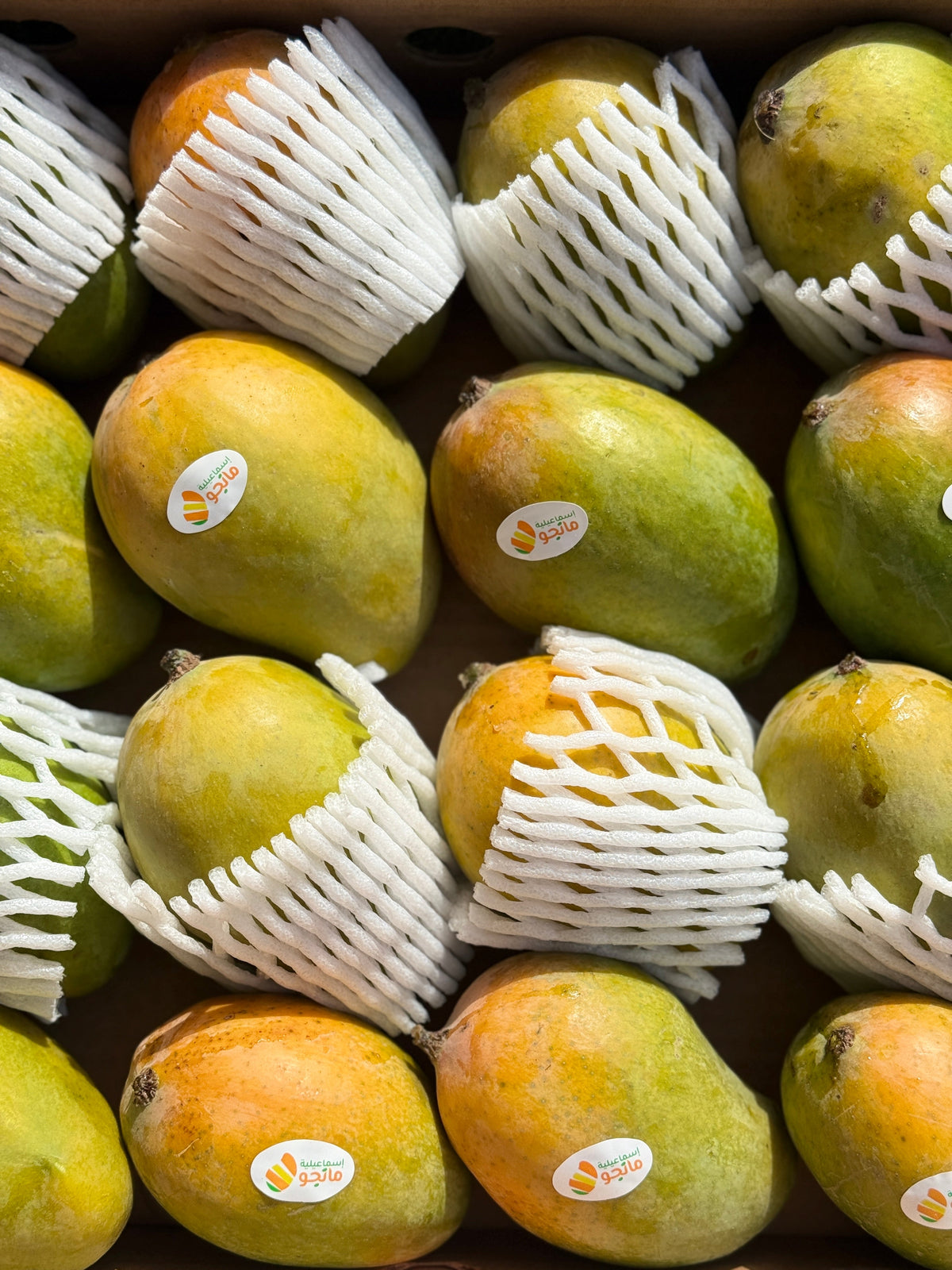 Mango Cleopatra