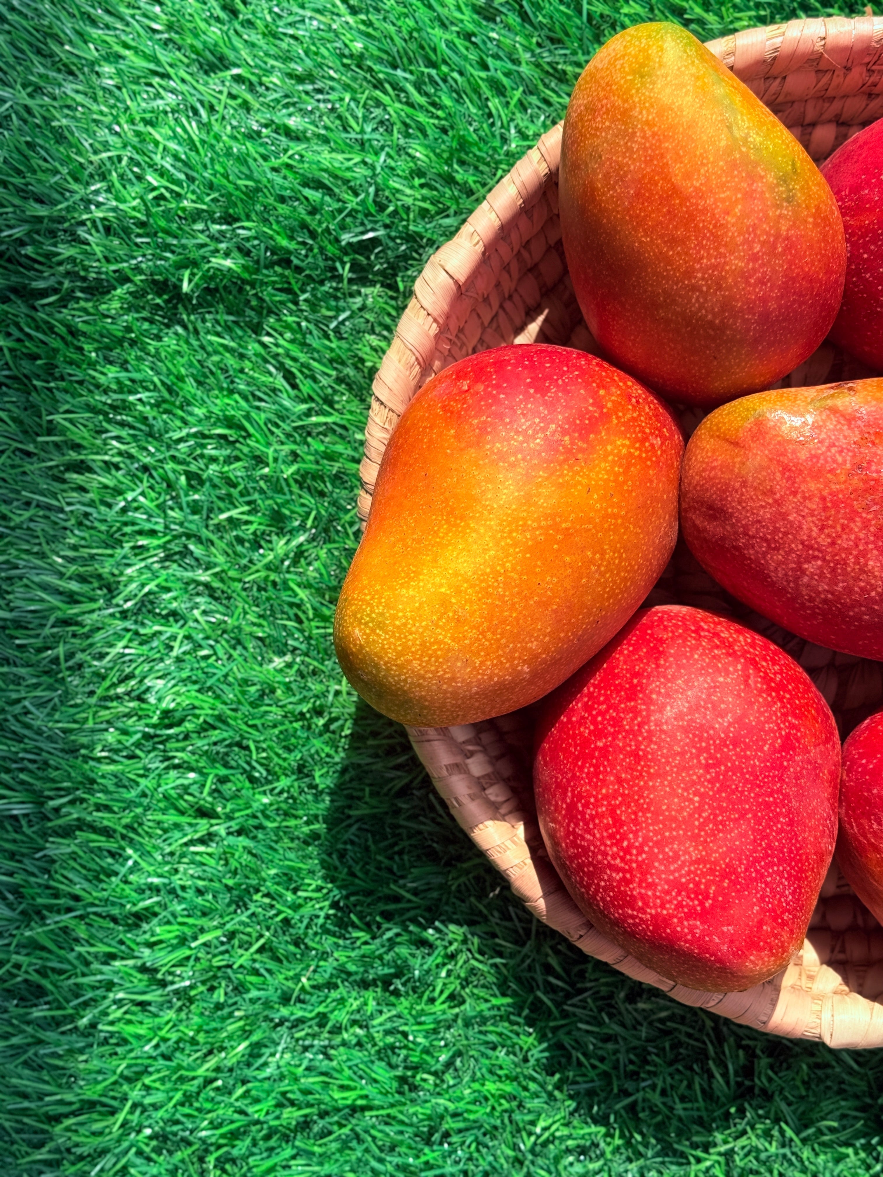 Mango Naomi
