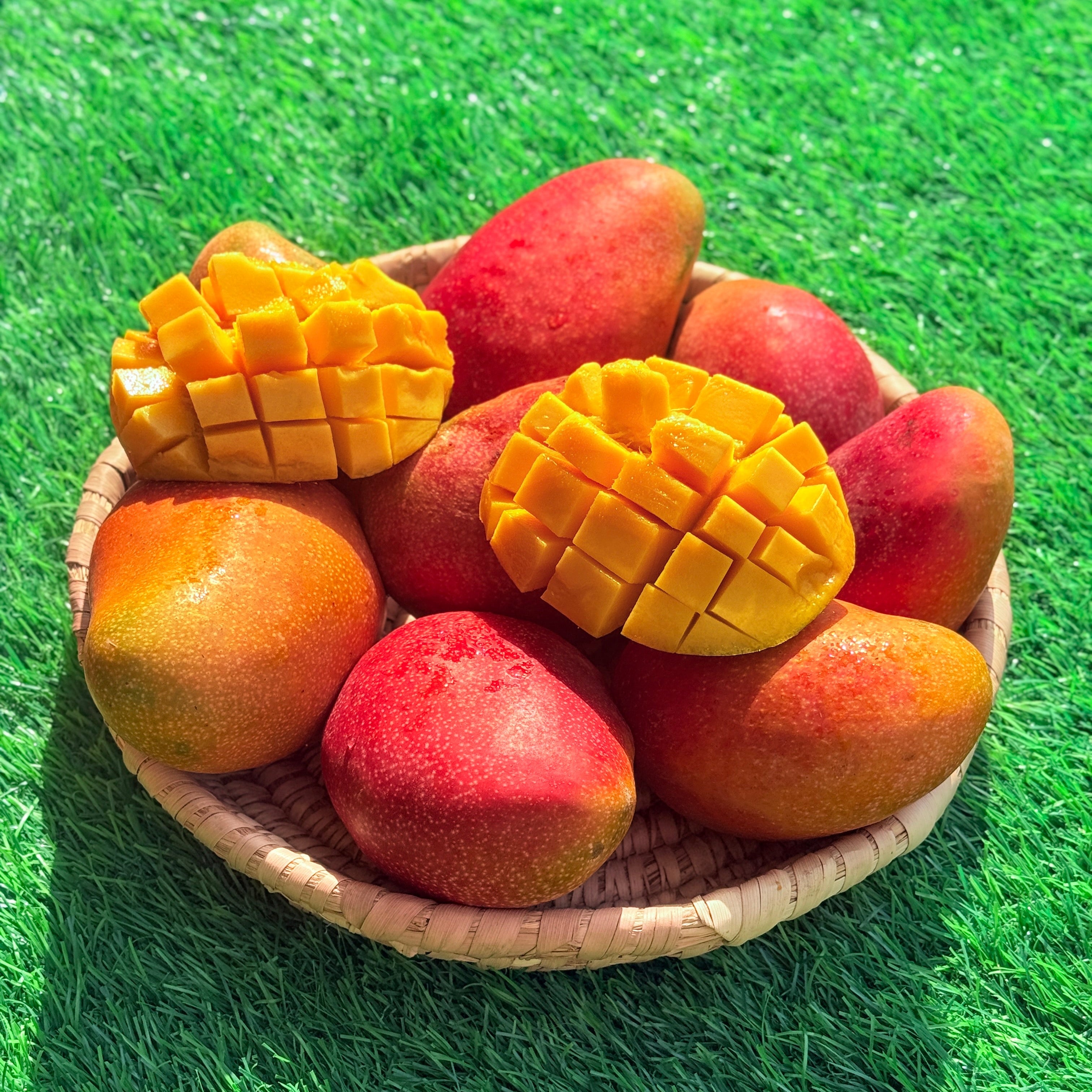 Mango Naomi