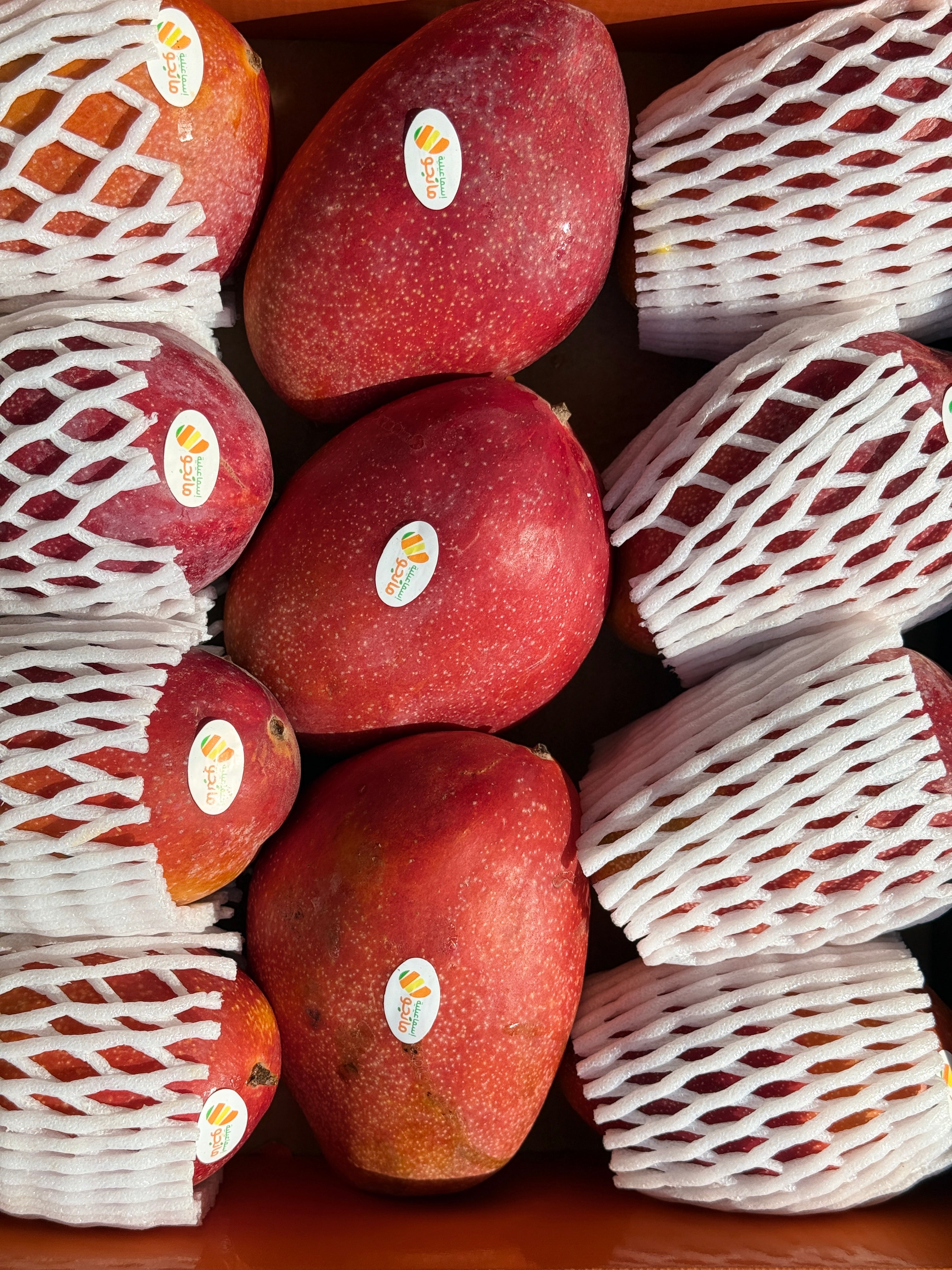 Mango Naomi