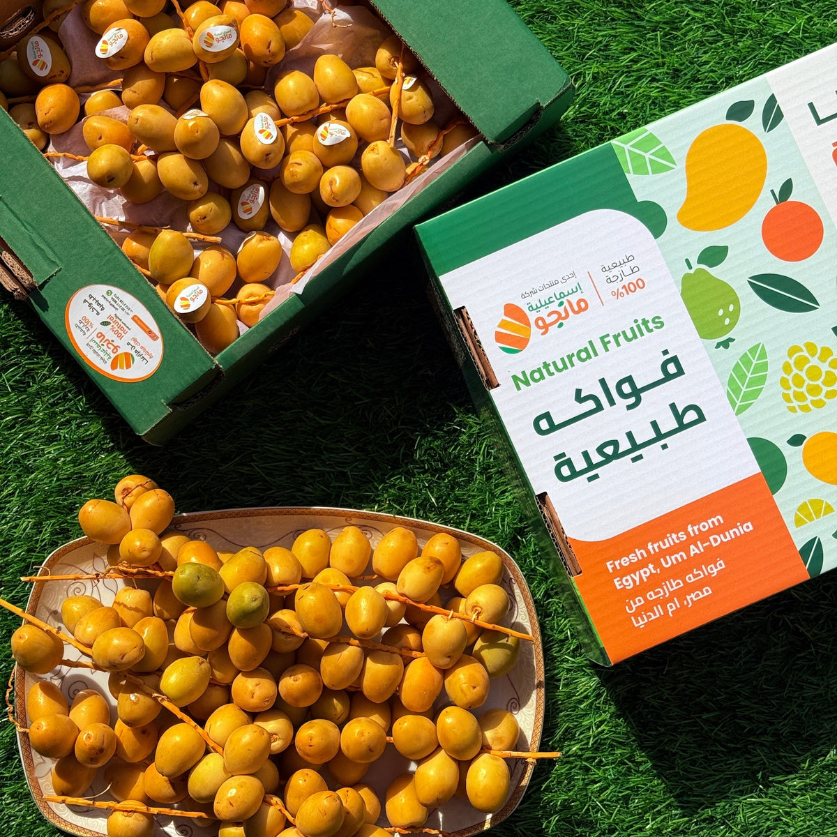 Dates Barhi