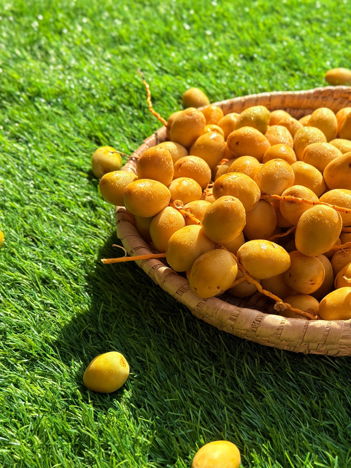 Dates Barhi