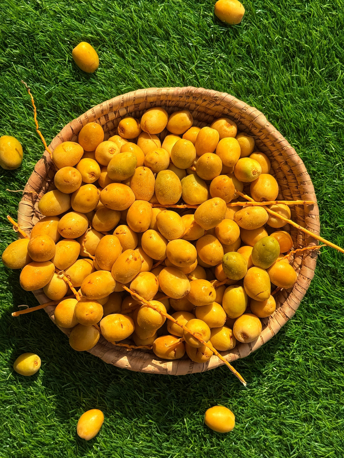 Dates Barhi