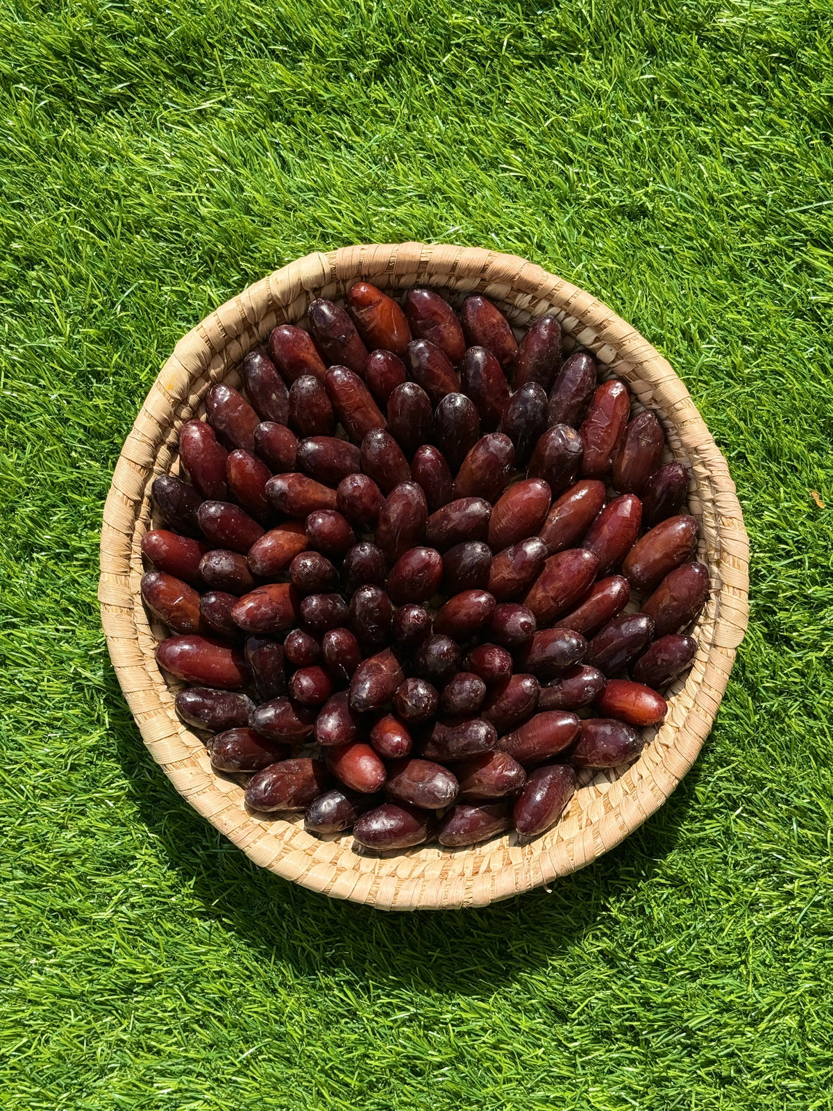 Dates Rutab