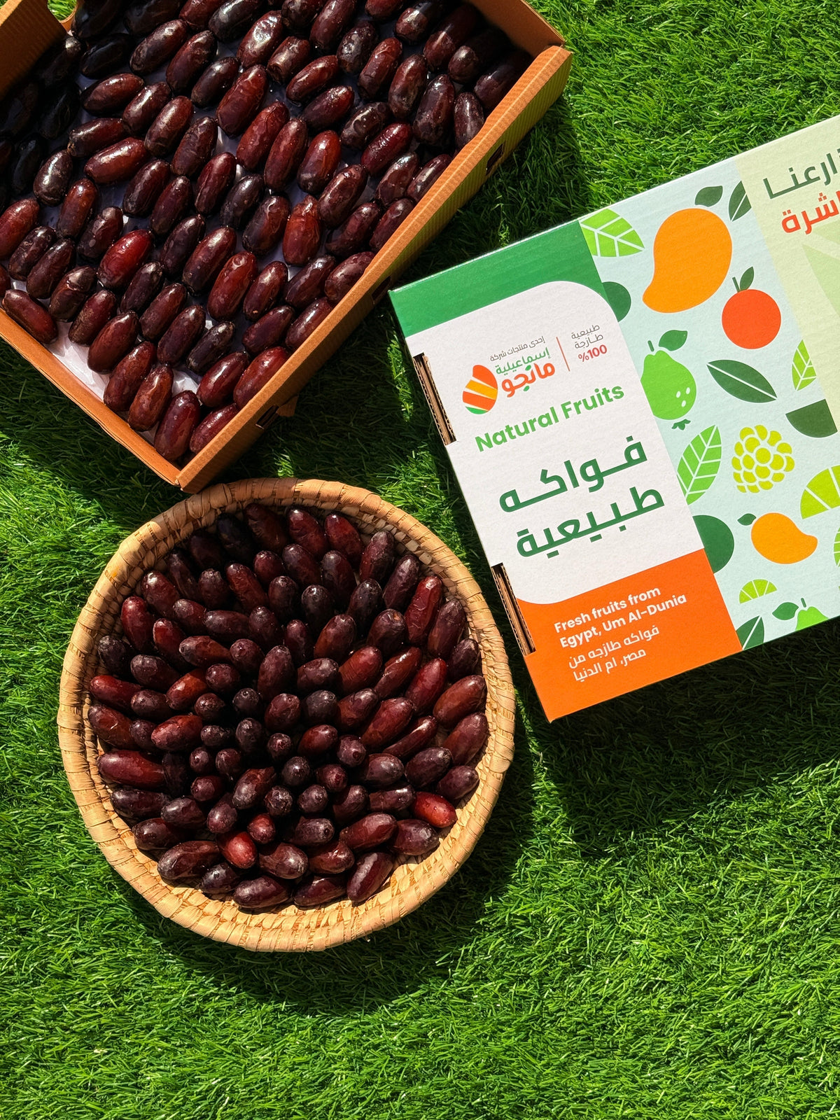 Dates Rutab