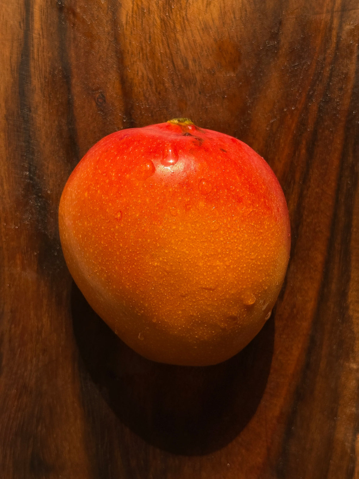 Mango Dubai