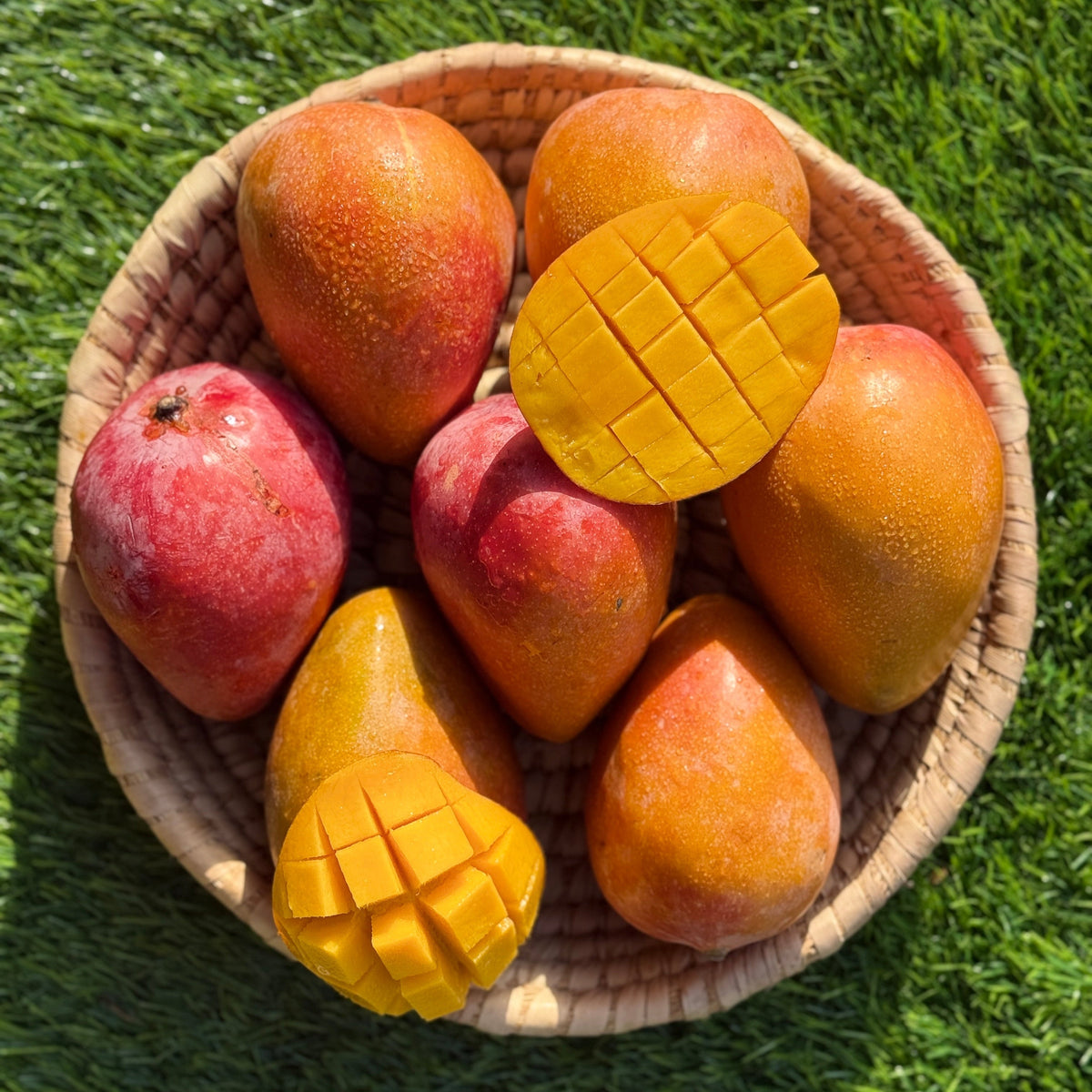 Mango Dubai