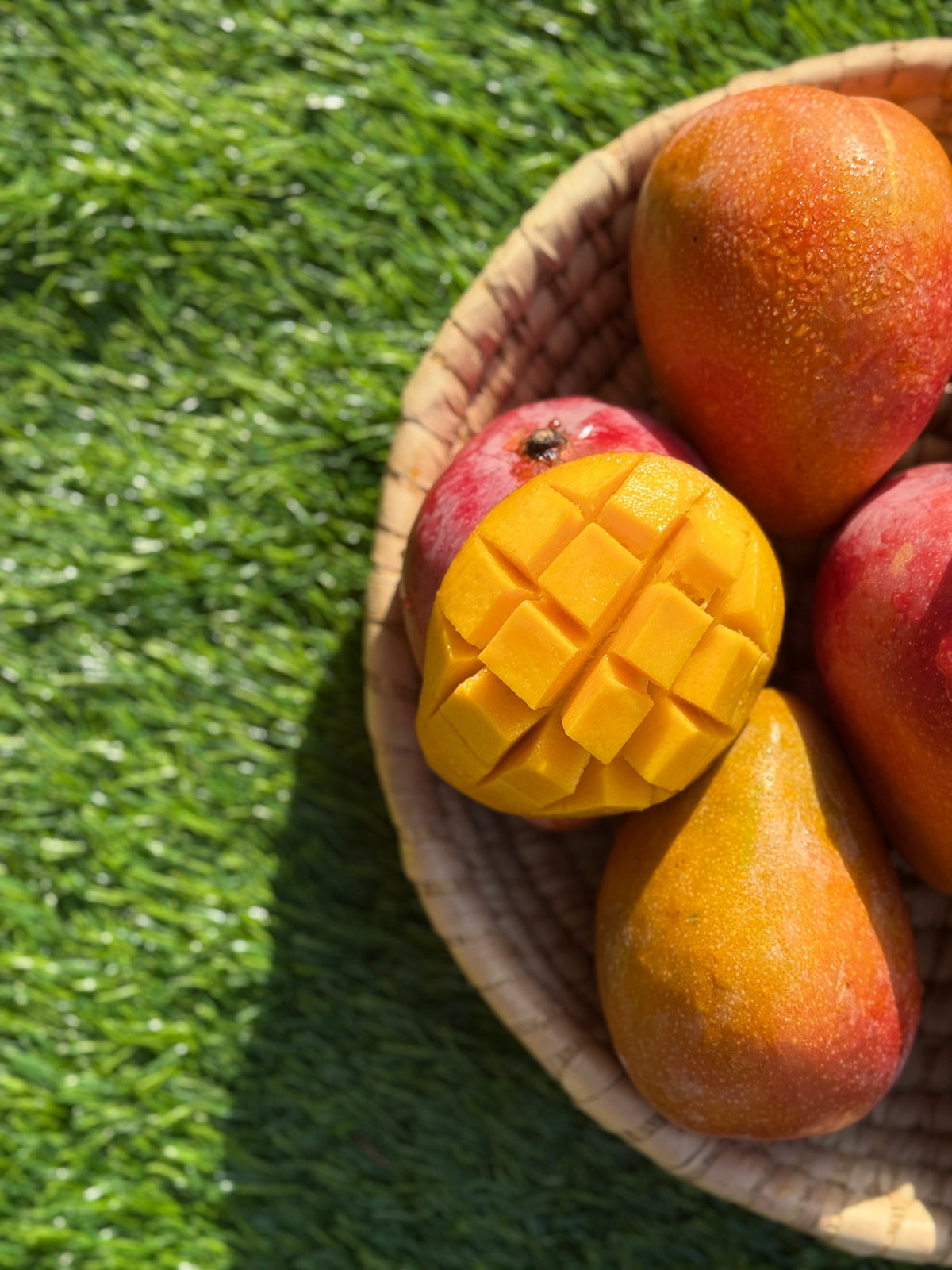 Mango Dubai