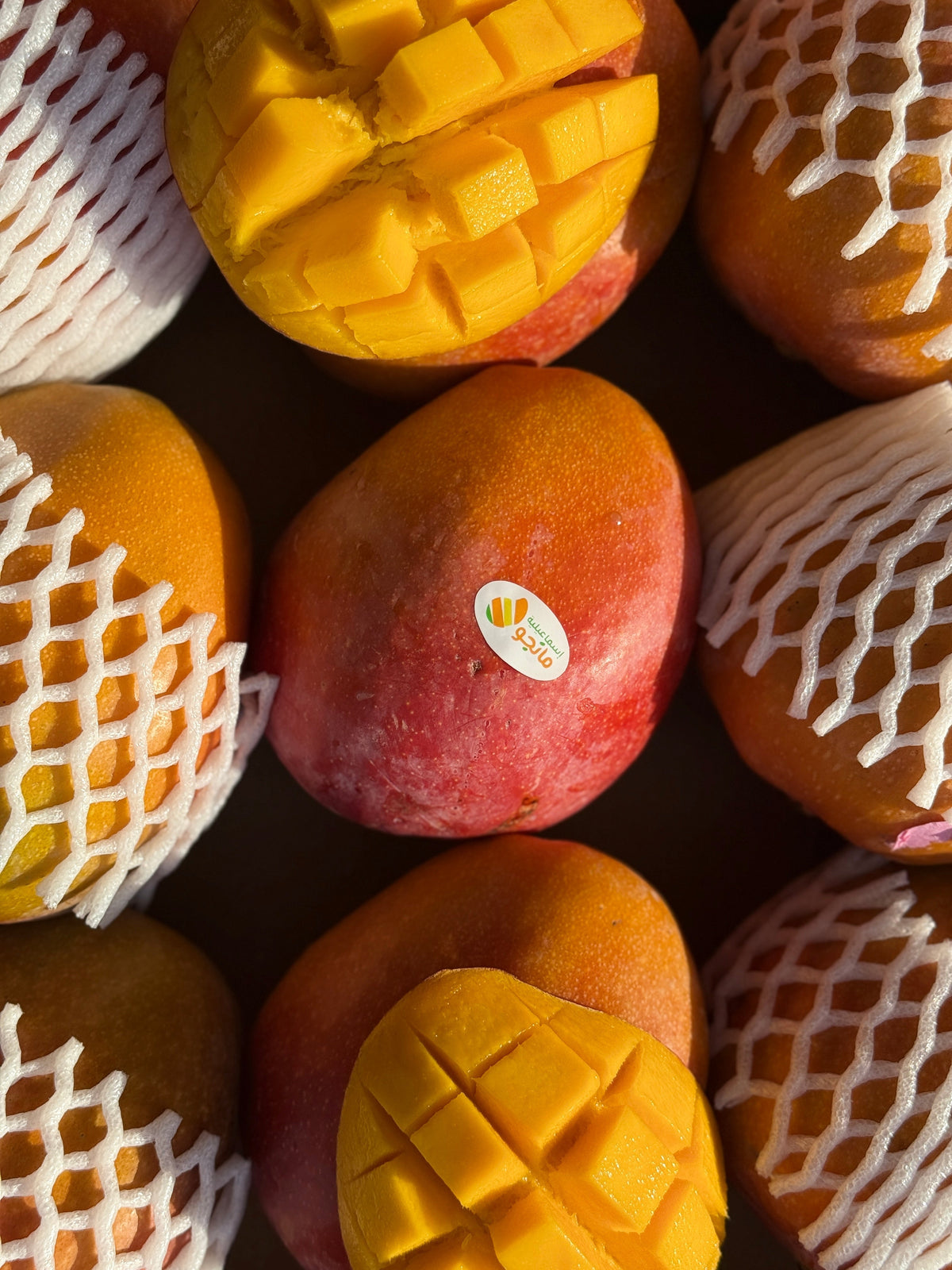 Mango Dubai