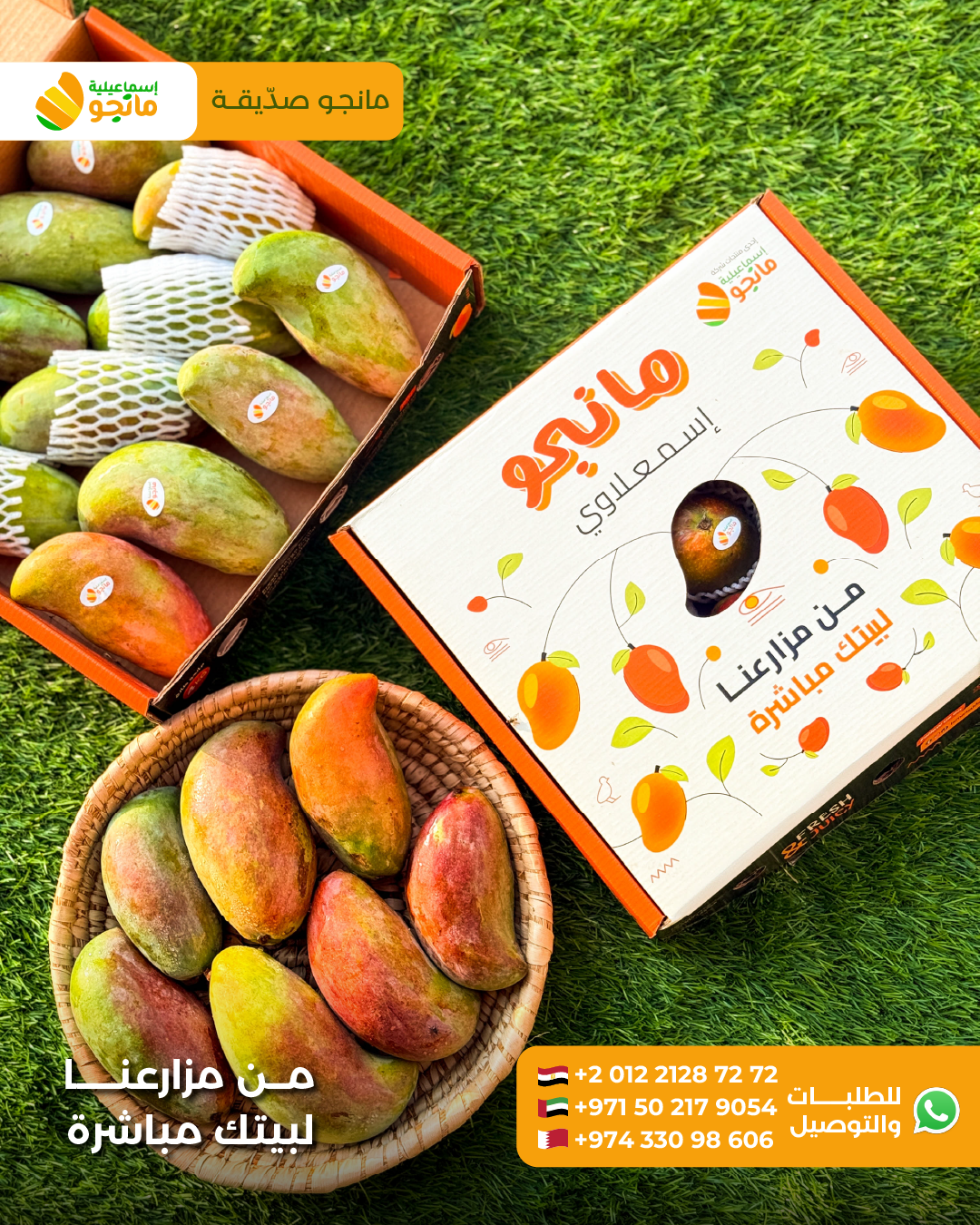 Mango Sediqa