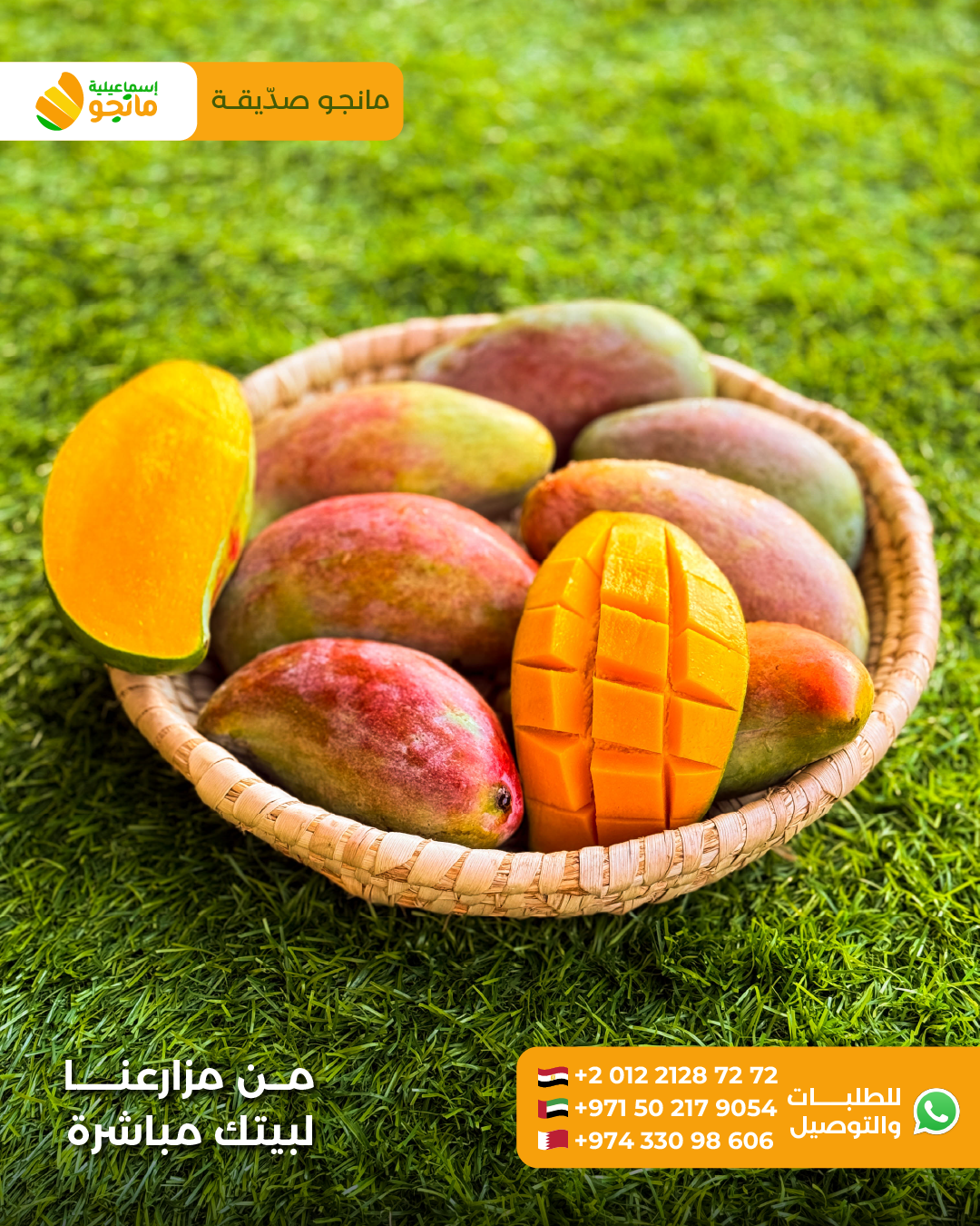 Mango Sediqa