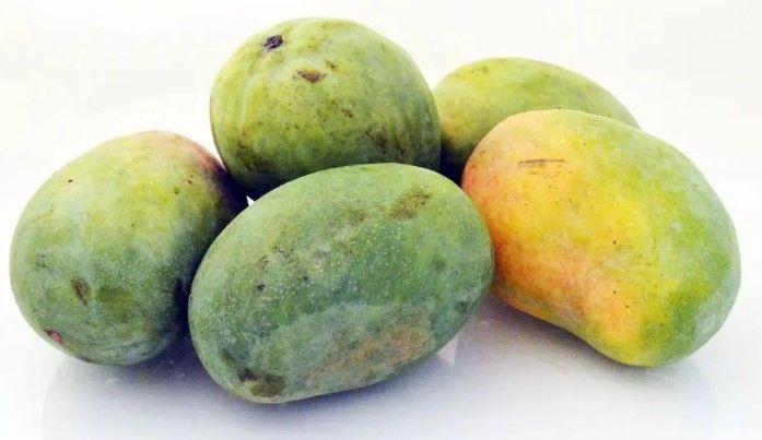 Timour Mango